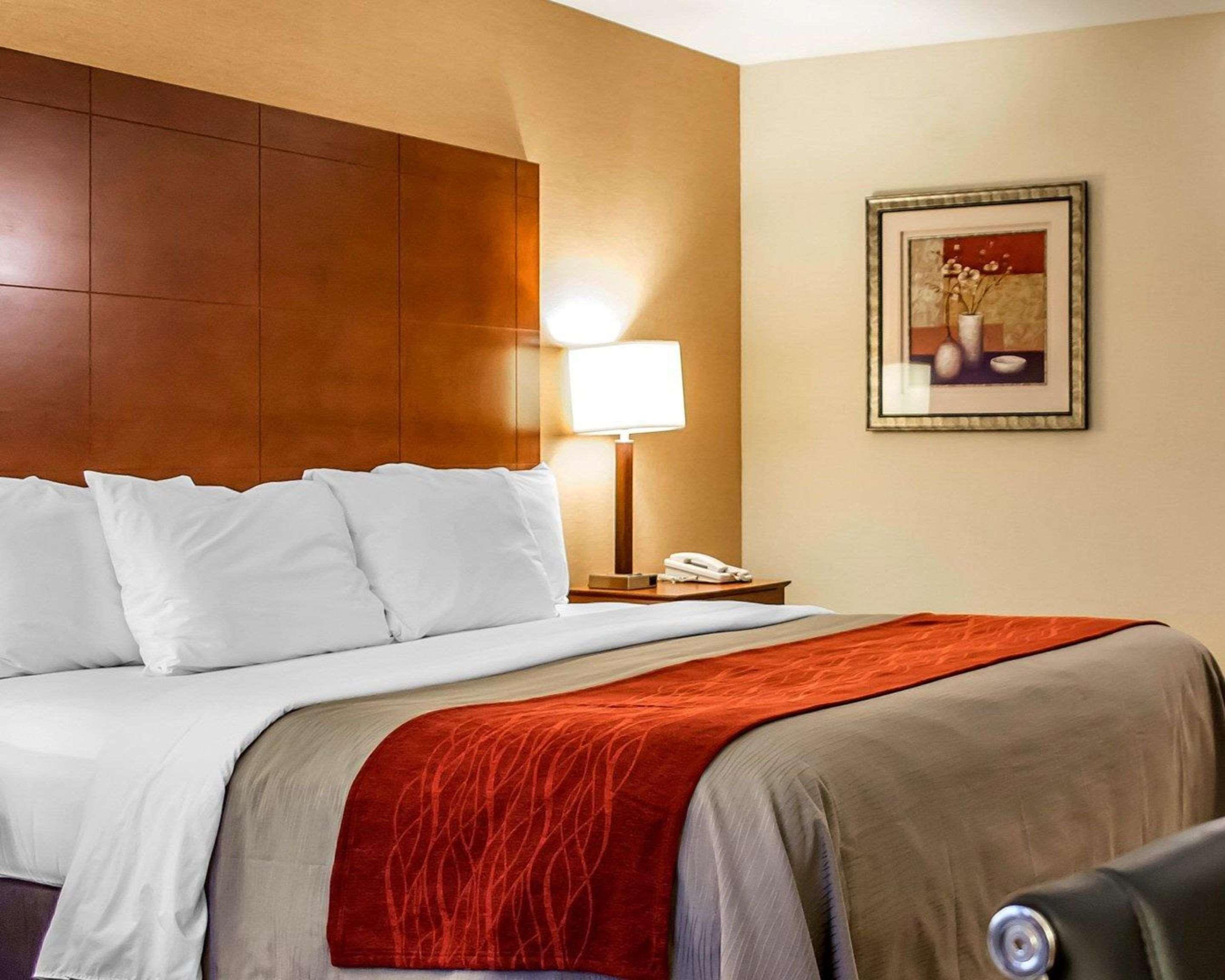 Comfort Inn & Suites Franklin East Buitenkant foto